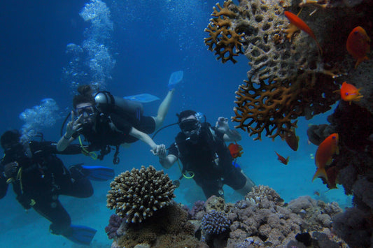 The Allure of Diving Underwater Exploring a Hidden World